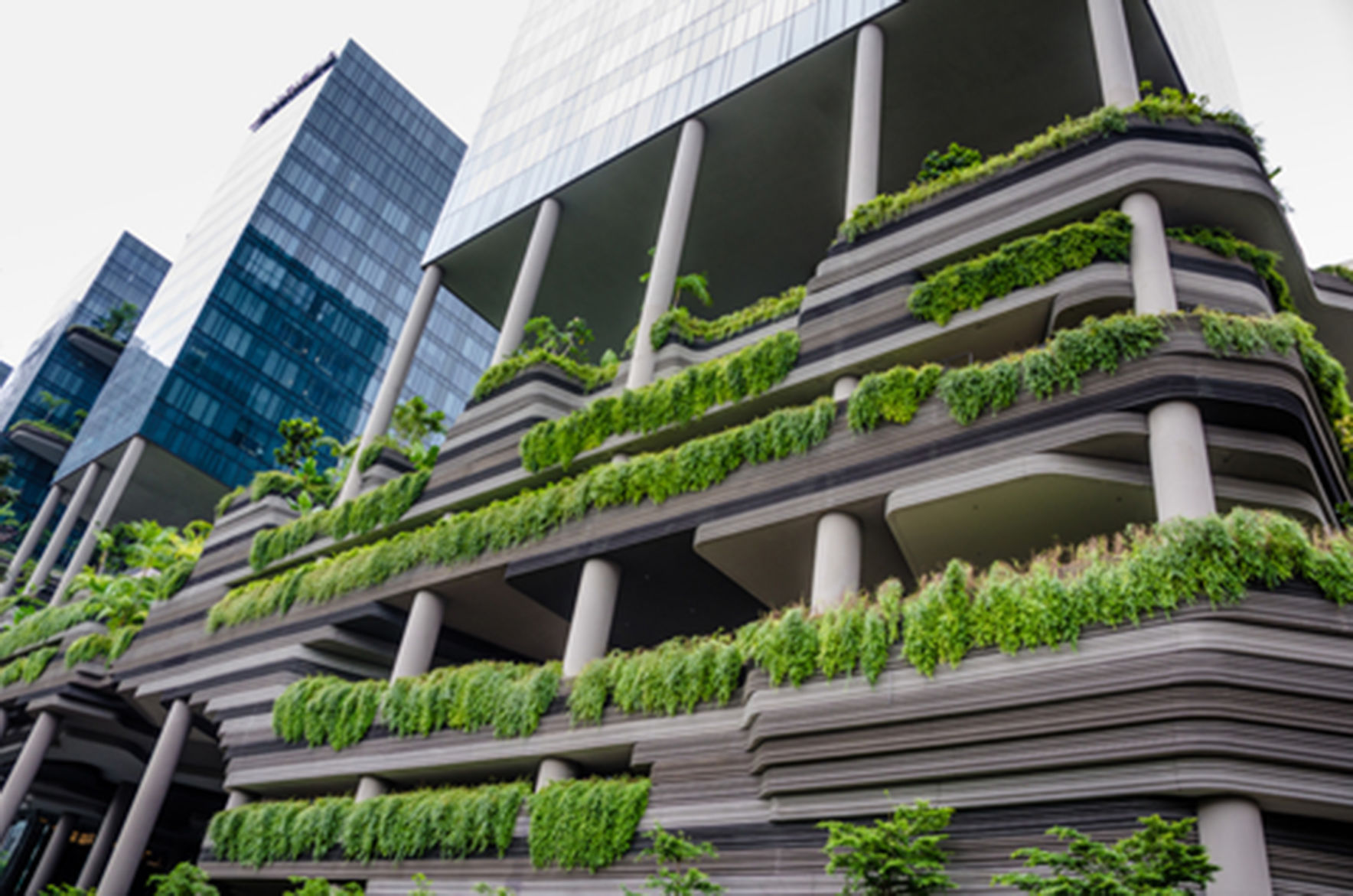 ParkRoyal Hotel in Singapore